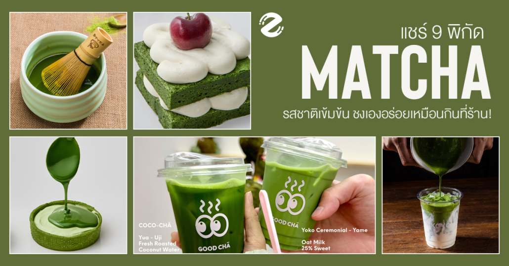 แชร์พิกัด 9 แบรนด์มัทฉะ รสชาติเข้มข้น ชงเองอร่อยเหมือนกินที่ร้าน! Zipevent