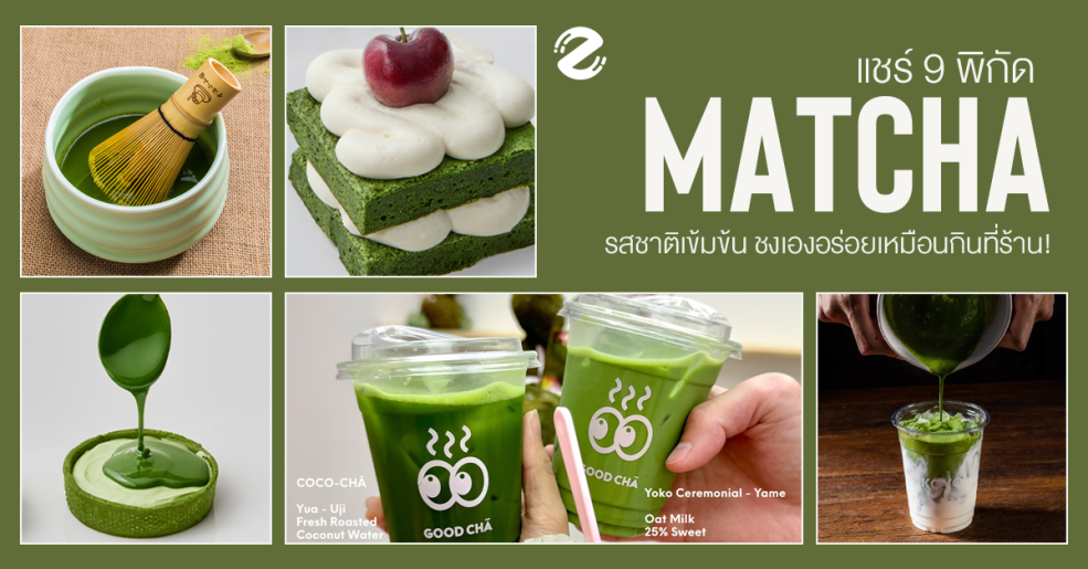 แชร์พิกัด 9 แบรนด์มัทฉะ รสชาติเข้มข้น ชงเองอร่อยเหมือนกินที่ร้าน! Zipevent