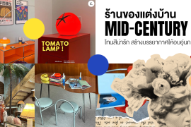 แชร์พิกัด 6 ร้านของแต่งบ้าน โทนสีน่ารัก สไตล์ Mid-Century ชวนสร้างบรรยากาศให้อบอุ่นกว่าที่เคย Zipevent