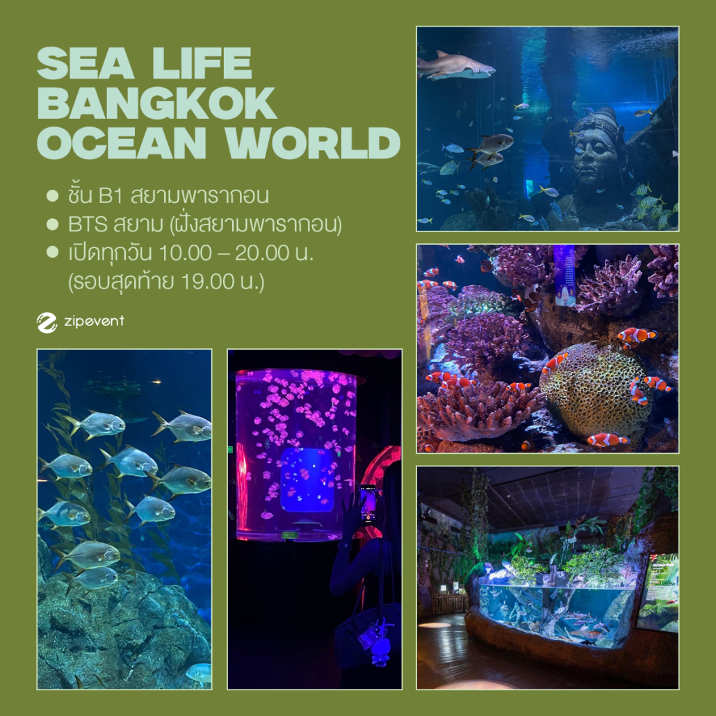 รวม 5 ที่เดทกับตัวเองในกรุงเทพ พักใจ ฮีลใจ แก้เหงาในวันฝนพรำ Zipevent