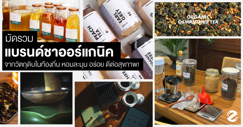 มัดรวม 5 แบรนด์ชาออร์แกนิค จากวัตถุดิบในท้องถิ่น กลิ่นหอมละมุน รสชาติอร่อย ดีต่อสุขภาพ! Zipevent