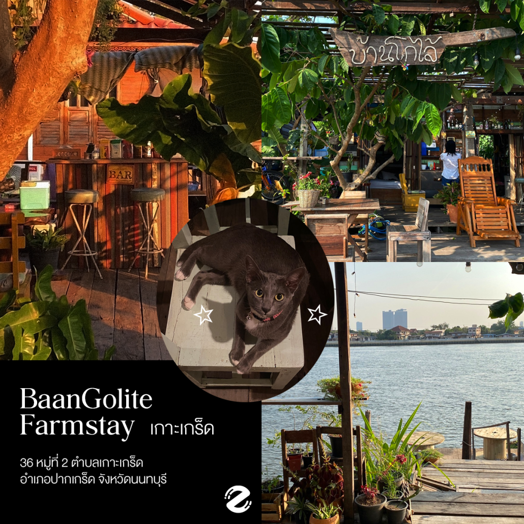 แชร์พิกัด 6 ที่พักใกล้กรุงเทพ ไวบ์ดี บรรยากาศเงียบสงบ เดินทางง่าย ชวนหนีความวุ่นวายไปพักใจ Zipevent