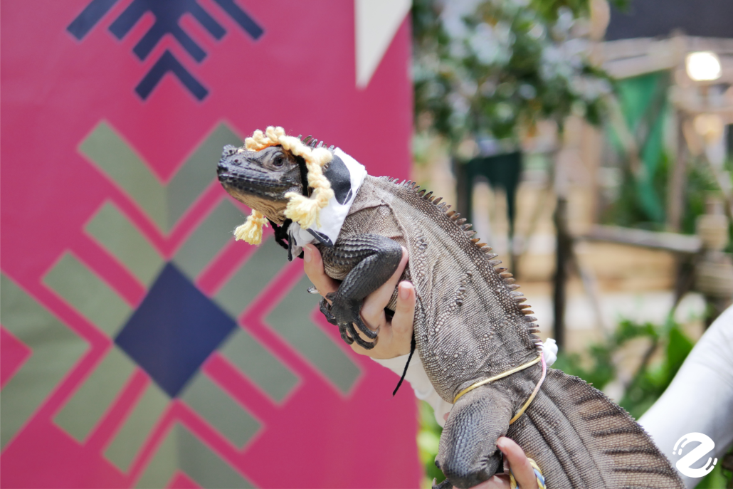 พาบุก! The Mall Lifestore Jungle Walk 2025 ท่องโลกมหัศจรรย์ ในแดนสัตว์แปลกพิศวง ชวนสัมผัสประสบการณ์ใหม่ ตื่นตาไปกับสัตว์หายากนานาชนิด! Zipevent