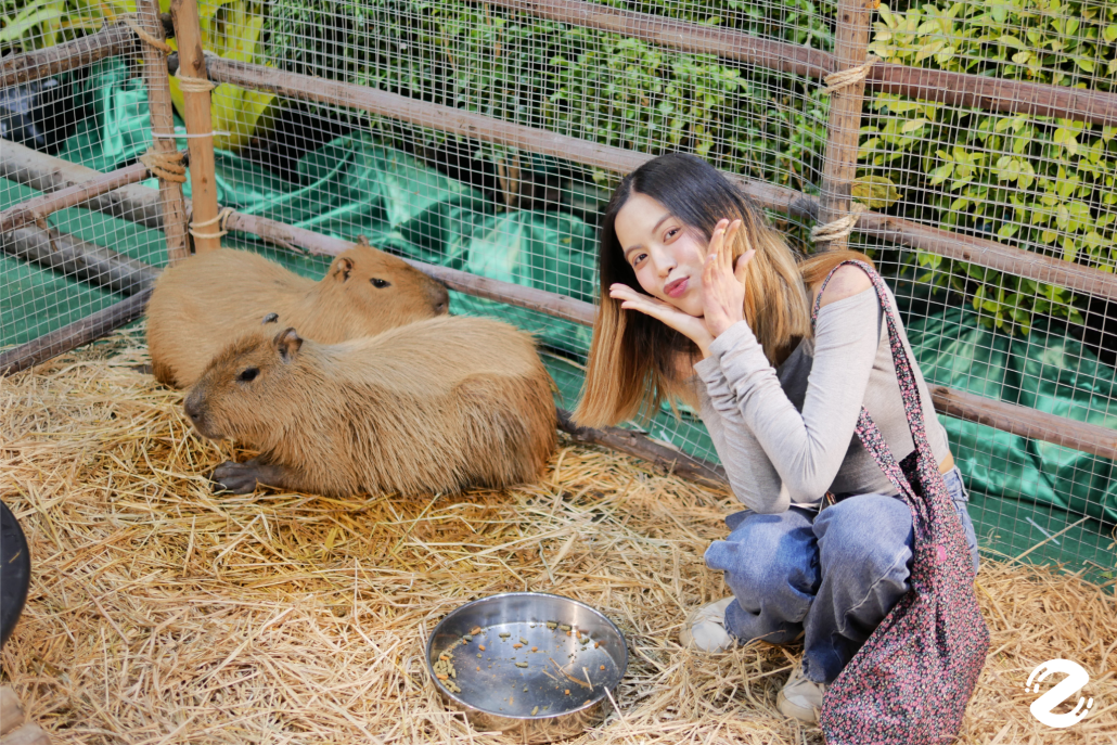 พาบุก! The Mall Lifestore Jungle Walk 2025 ท่องโลกมหัศจรรย์ ในแดนสัตว์แปลกพิศวง ชวนสัมผัสประสบการณ์ใหม่ ตื่นตาไปกับสัตว์หายากนานาชนิด! Zipevent