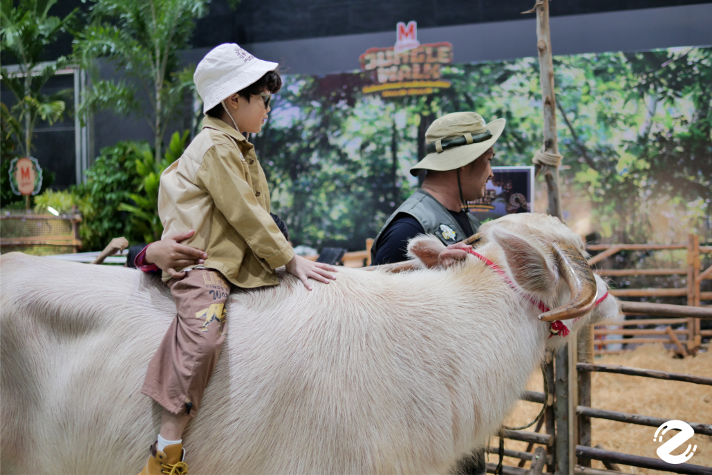 พาบุก! The Mall Lifestore Jungle Walk 2025 ท่องโลกมหัศจรรย์ ในแดนสัตว์แปลกพิศวง ชวนสัมผัสประสบการณ์ใหม่ ตื่นตาไปกับสัตว์หายากนานาชนิด! Zipevent