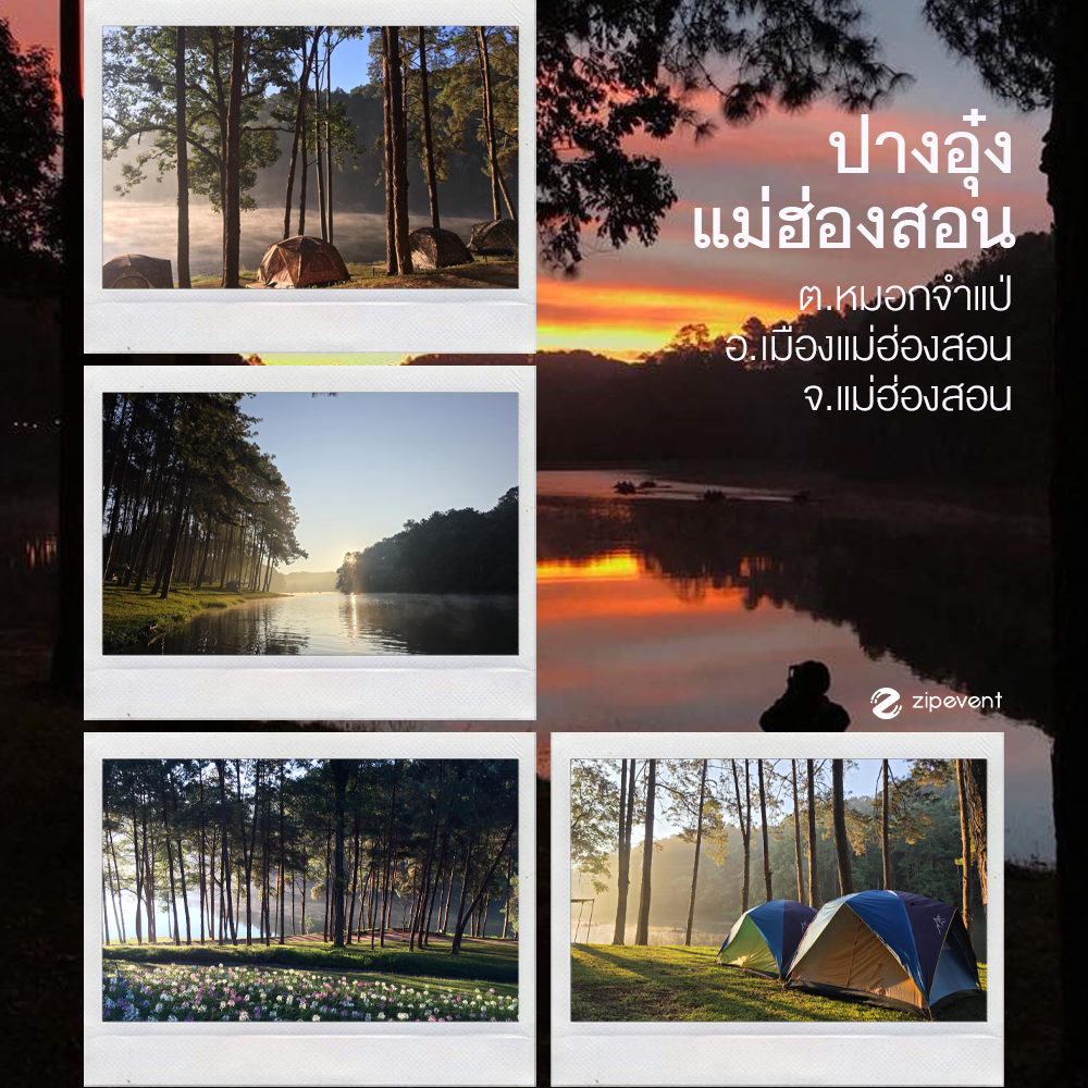 พิกัด 6 ที่เที่ยวหน้าหนาว 2025 บรรยากาศผ่อนคลาย ชวนสัมผัสธรรมชาติ แวะพักผ่อนฮีลใจ รับลมหนาวช่วงสิ้นปี Zipevent