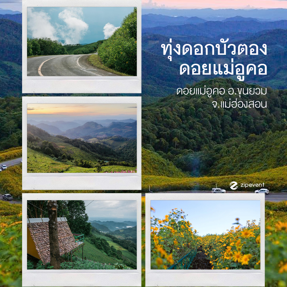 พิกัด 6 ที่เที่ยวหน้าหนาว 2025 บรรยากาศผ่อนคลาย ชวนสัมผัสธรรมชาติ แวะพักผ่อนฮีลใจ รับลมหนาวช่วงสิ้นปี Zipevent