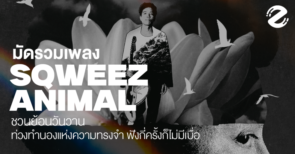 มัดรวม 14 เพลง Sqweez Animal ชวนย้อนวันวาน ท่วงทำนองแห่งความทรงจำ เปิดฟังกี่ครั้งก็ไม่มีเบื่อ Zipevent