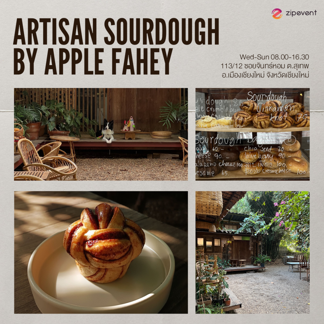 แชร์พิกัด 7 คาเฟ่เชียงใหม่ 2025 mood ดี บรรยากาศโฮมมี่ เตรียมจดเข้าลิสต์ไว้แฮงค์เอาท์ช่วงวันหยุด! Zipevent