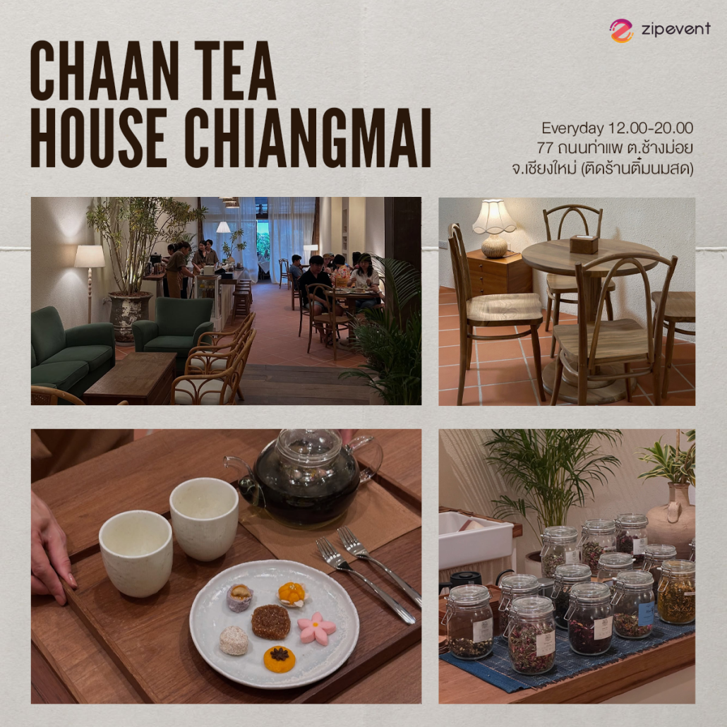 แชร์พิกัด 7 คาเฟ่เชียงใหม่ 2025 mood ดี บรรยากาศโฮมมี่ เตรียมจดเข้าลิสต์ไว้แฮงค์เอาท์ช่วงวันหยุด! Zipevent