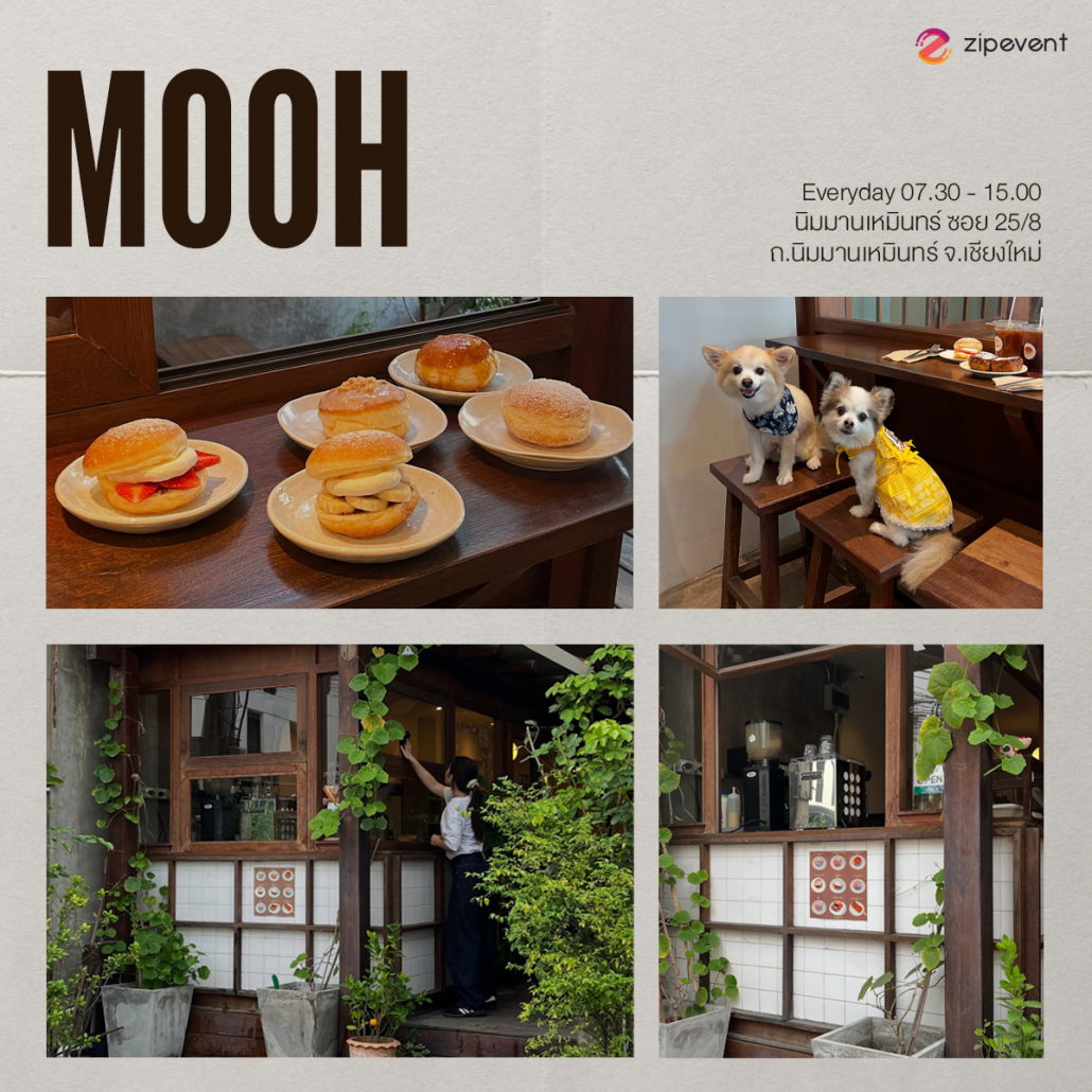 แชร์พิกัด 7 คาเฟ่เชียงใหม่ 2025 mood ดี บรรยากาศโฮมมี่ เตรียมจดเข้าลิสต์ไว้แฮงค์เอาท์ช่วงวันหยุด! Zipevent