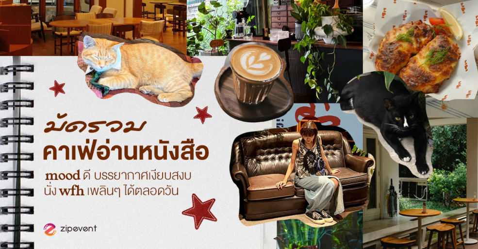มัดรวม 7 คาเฟ่อ่านหนังสือ mood ดี บรรยากาศเงียบสงบ นั่ง WFH เพลินๆ ได้ตลอดวัน Zipevent