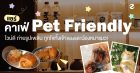 แชร์ 8 คาเฟ่ Pet Friendly ไวบ์ดี ถ่ายรูปเพลิน ชวนเช็คอินช่วงวันหยุด ถูกใจทั้งเจ้าของและน้องหมา! Zipevent