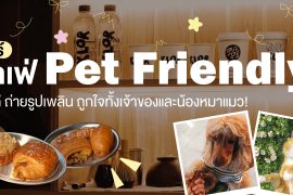 แชร์ 8 คาเฟ่ Pet Friendly ไวบ์ดี ถ่ายรูปเพลิน ชวนเช็คอินช่วงวันหยุด ถูกใจทั้งเจ้าของและน้องหมา! Zipevent