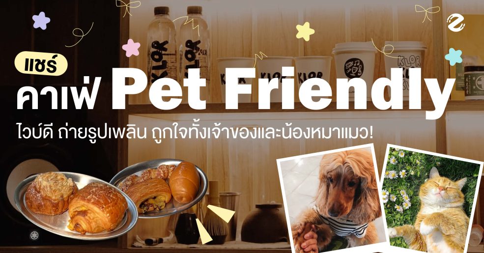 แชร์ 8 คาเฟ่ Pet Friendly ไวบ์ดี ถ่ายรูปเพลิน ชวนเช็คอินช่วงวันหยุด ถูกใจทั้งเจ้าของและน้องหมา! Zipevent