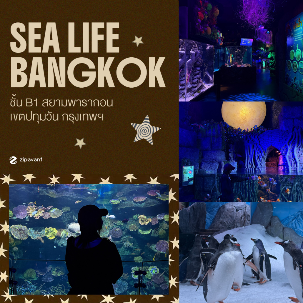 พิกัด 7 ที่เที่ยวหน้าร้อน 2026 บรรยากาศดี เที่ยวเพลิน เติมสีสันให้ซัมเมอร์สนุกกว่าที่เคย! Zipevent