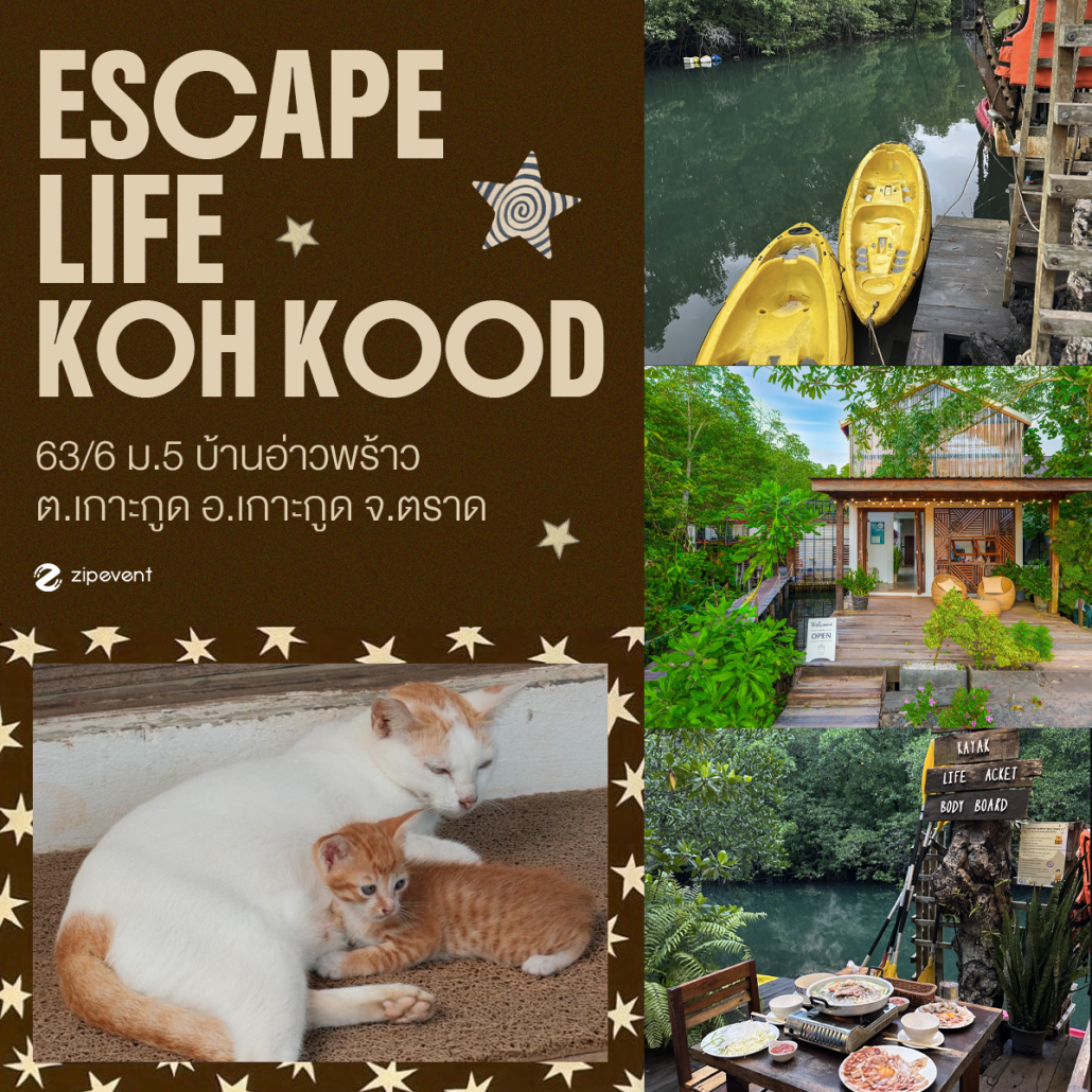 พิกัด 7 ที่เที่ยวหน้าร้อน 2026 บรรยากาศดี เที่ยวเพลิน เติมสีสันให้ซัมเมอร์สนุกกว่าที่เคย! Zipevent