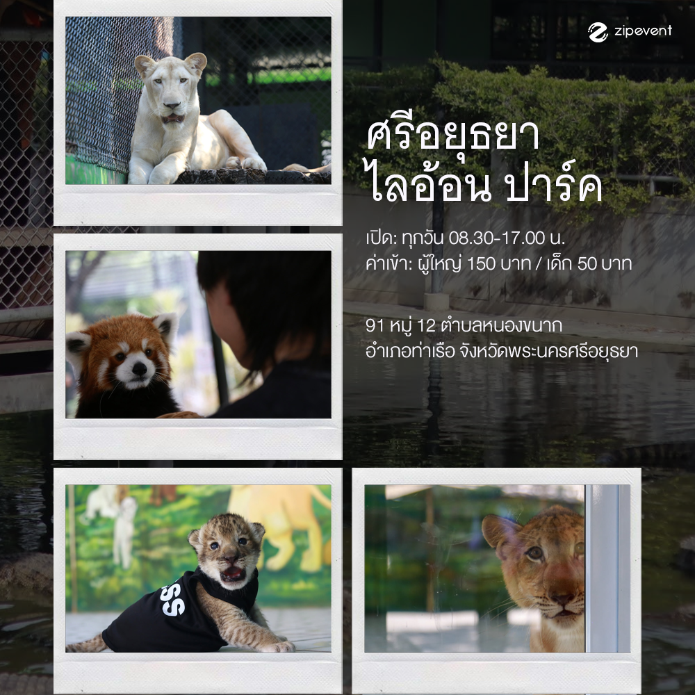 ปักหมุด 9 สวนสัตว์ เดินเล่นได้ ถ่ายรูปสวย เปลี่ยนวันธรรมดาให้เป็นเดย์ทริปฮีลใจ Zipevent