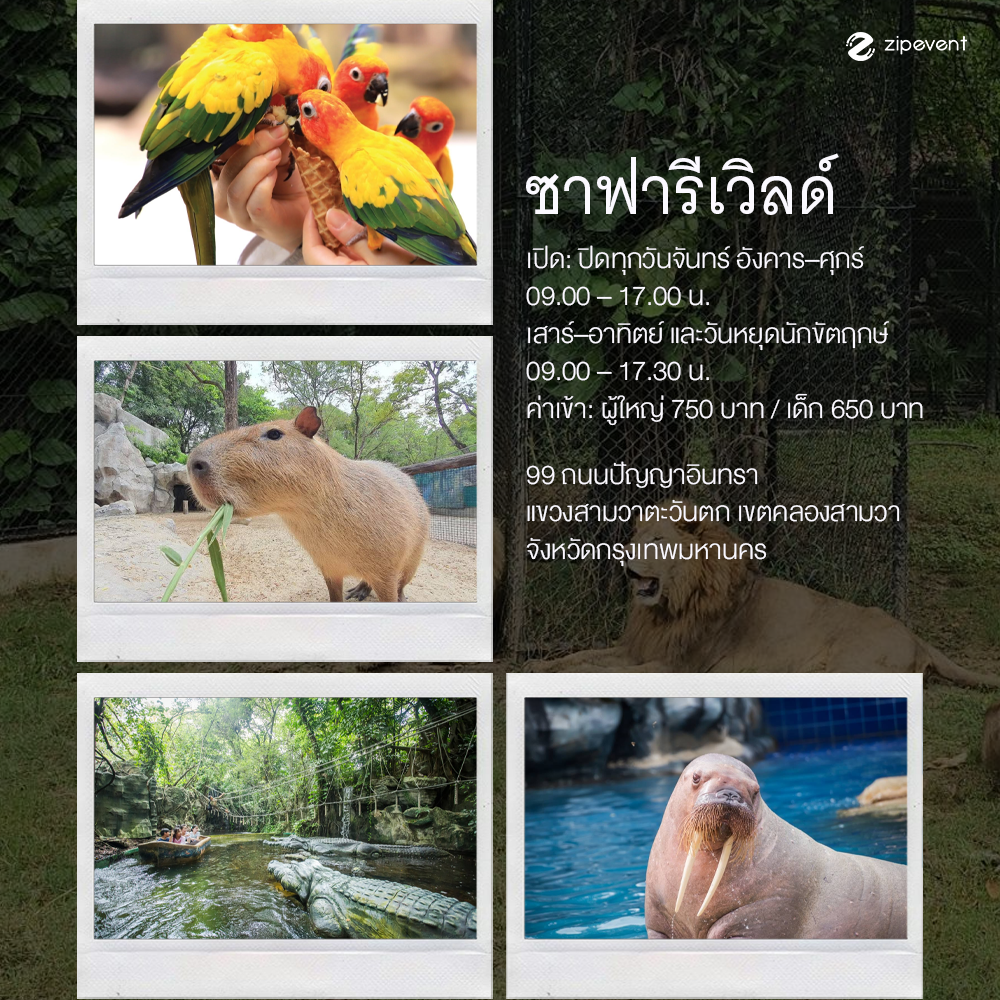 ปักหมุด 9 สวนสัตว์ เดินเล่นได้ ถ่ายรูปสวย เปลี่ยนวันธรรมดาให้เป็นเดย์ทริปฮีลใจ Zipevent