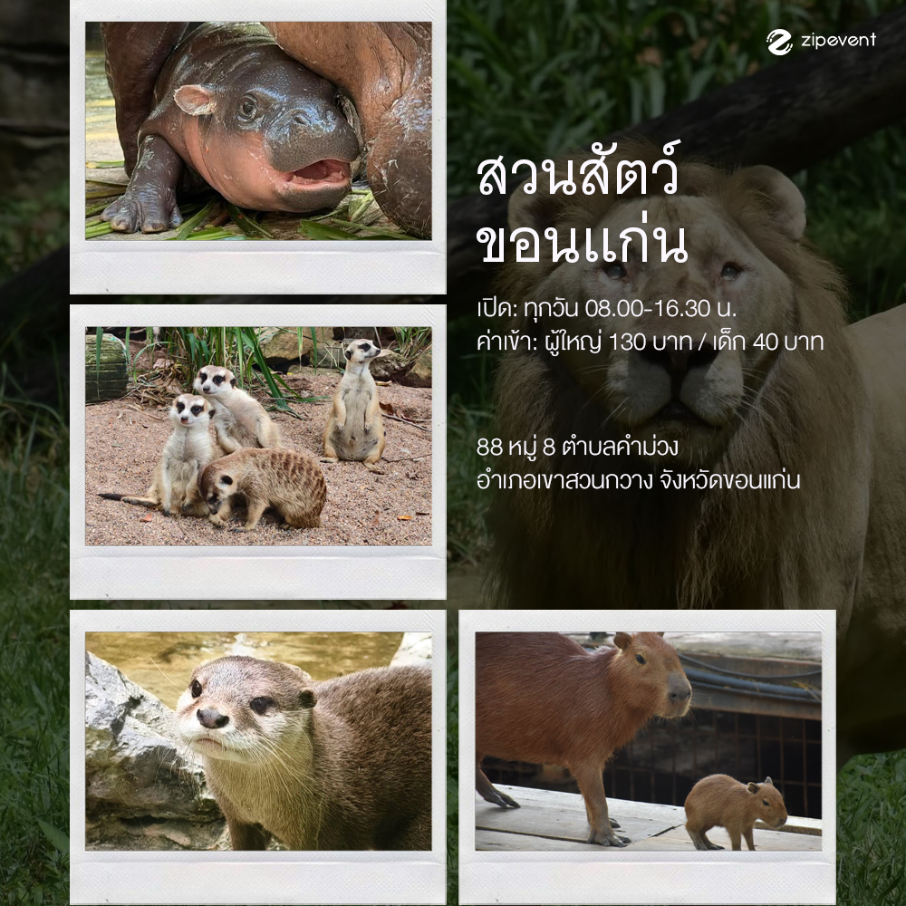 ปักหมุด 9 สวนสัตว์ เดินเล่นได้ ถ่ายรูปสวย เปลี่ยนวันธรรมดาให้เป็นเดย์ทริปฮีลใจ Zipevent