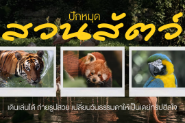 ปักหมุด 9 สวนสัตว์ เดินเล่นได้ ถ่ายรูปสวย เปลี่ยนวันธรรมดาให้เป็นเดย์ทริปฮีลใจ Zipevent