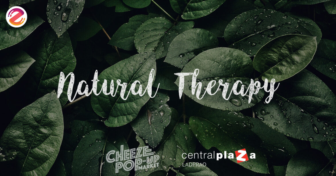 Cheeze Pop-Up Market 2018 : Natural Therapy เพราะธรรมชาติบำบัดได้ด้วยการช้อปปิ้ง cheeze pop-up market 2018
