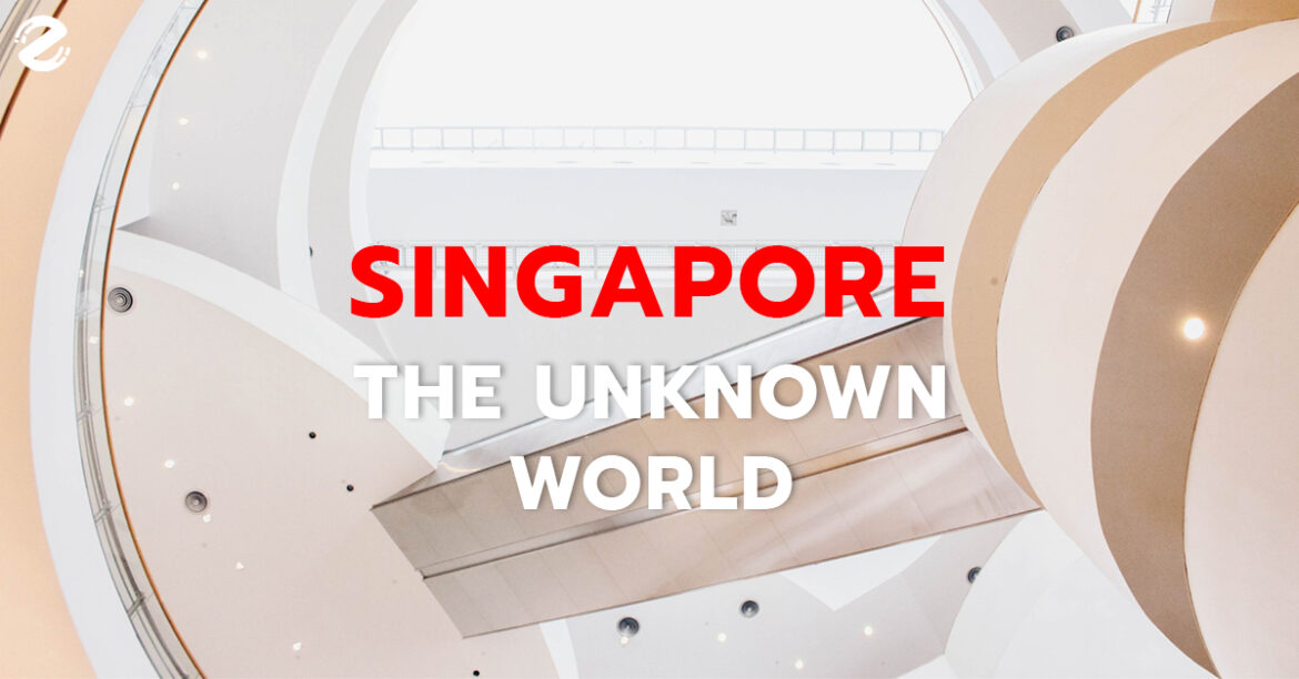 The Unknown World