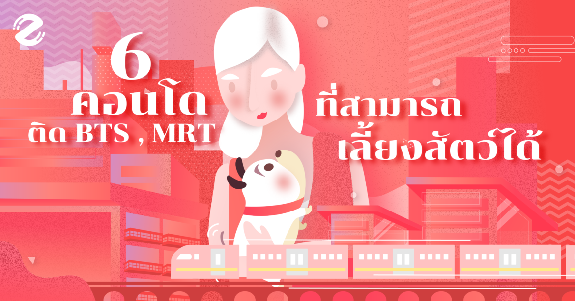 6 คอนโดใกล้ BTS-MRT เอาใจคนรุ่นใหม่ที่อยากเลี้ยงน้องหมา น้องแมว เลี้ยงสัตว์ได้