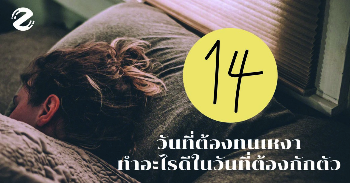 14 วันที่ต้องทนเหงา…ซิปชวนหาอะไรทำในวันที่ต้องกักตัว กักตัว