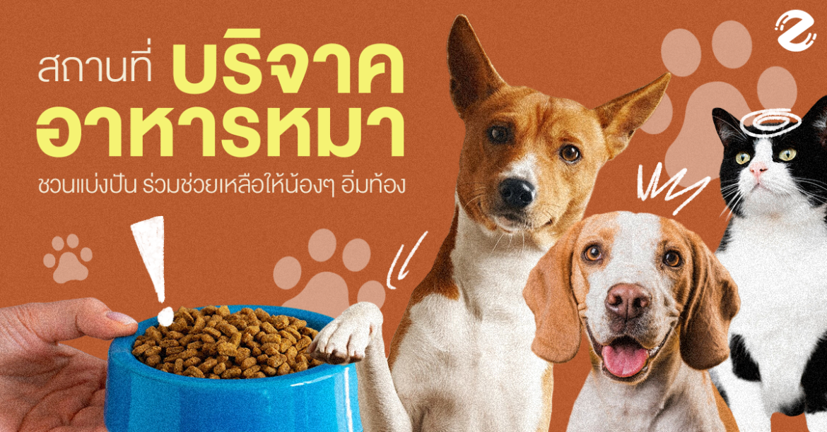 รวม 6 พิกัด สถานที่บริจาคอาหารหมา ชวนแบ่งปัน ร่วมช่วยเหลือให้น้องๆ อิ่มท้อง