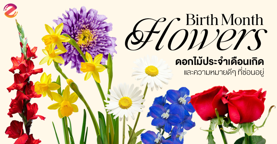 ชวนรู้จัก 12 ดอกไม้ประจำเดือนเกิด และความหมายดีๆ ที่ซ่อนอยู่ Zipevent