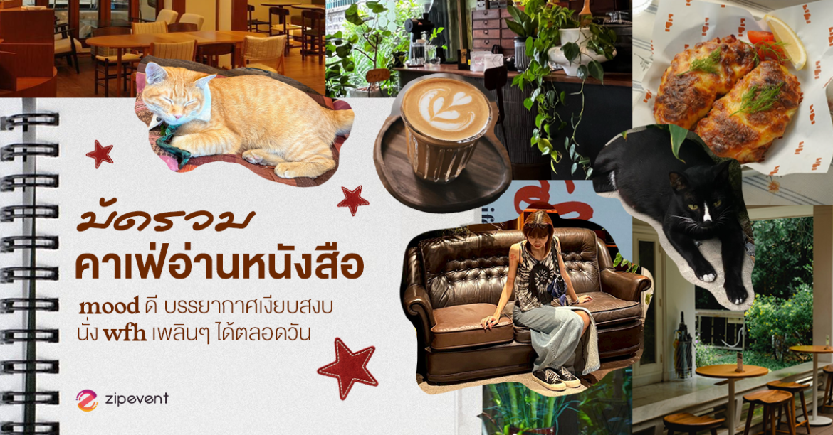 มัดรวม 7 คาเฟ่อ่านหนังสือ mood ดี บรรยากาศเงียบสงบ นั่ง WFH เพลินๆ ได้ตลอดวัน มัดรวม 7 คาเฟ่อ่านหนังสือ mood ดี บรรยากาศเงียบสงบ นั่ง WFH เพลินๆ ได้ตลอดวัน Zipevent