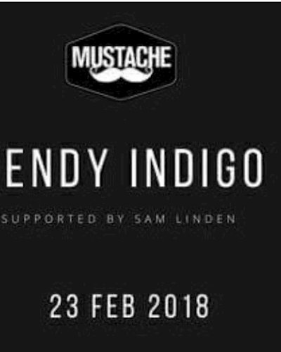 Mendy Indigo at Mustache Zipevent