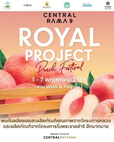 ROYAL PROJECT : PEACH FESTIVAL Zipevent