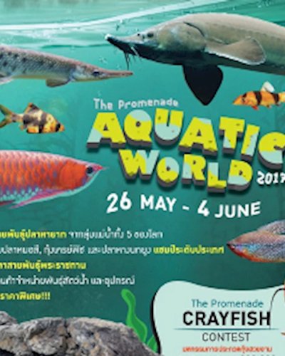 Aquatic World 2017 Zipevent