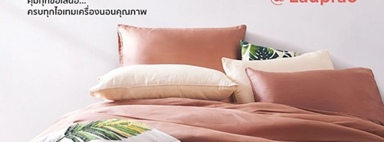 Central Bed & Rest Fair Zipevent