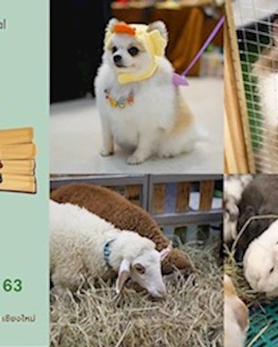 Pet's Fun Fest & Excotic Zipevent