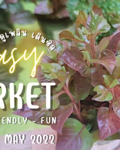 Easy Market Zipevent