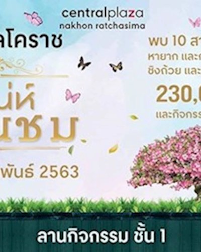 เสน่ห์ชวนชม Zipevent