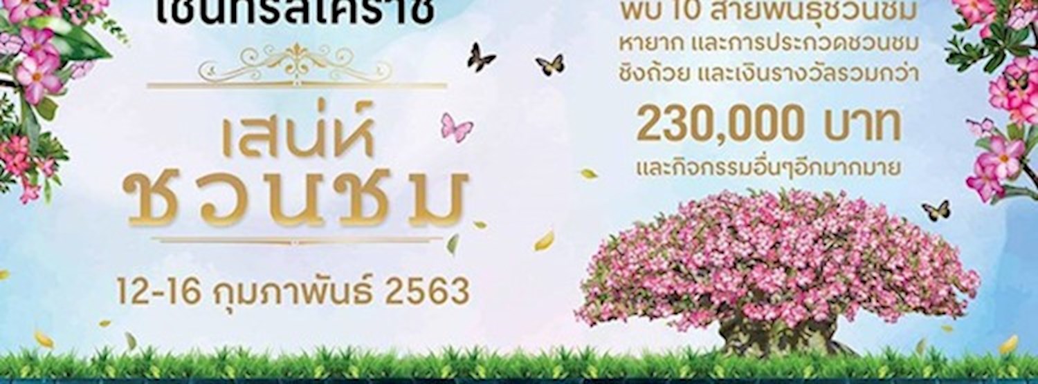 เสน่ห์ชวนชม Zipevent