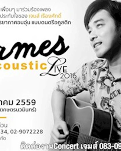 James Acoustic Live at Parking toys Zipevent