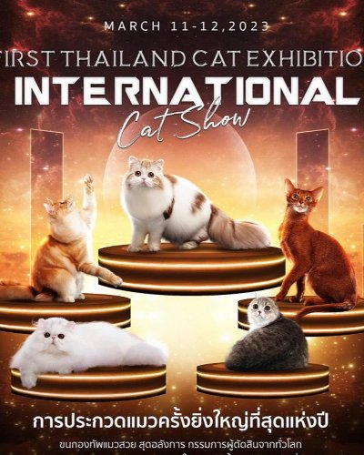 FIRST THAILAND CAT EXHIBITION INTERNATIONAL CAT SHOW Zipevent