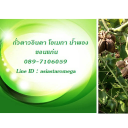 บริษัท เอเชีย สตาร์ โอเมกา (ประเทศไทย) จำกัด Zipevent