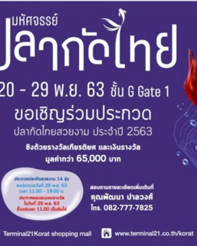 มหัศจรรย์ปลากัดไทย Zipevent