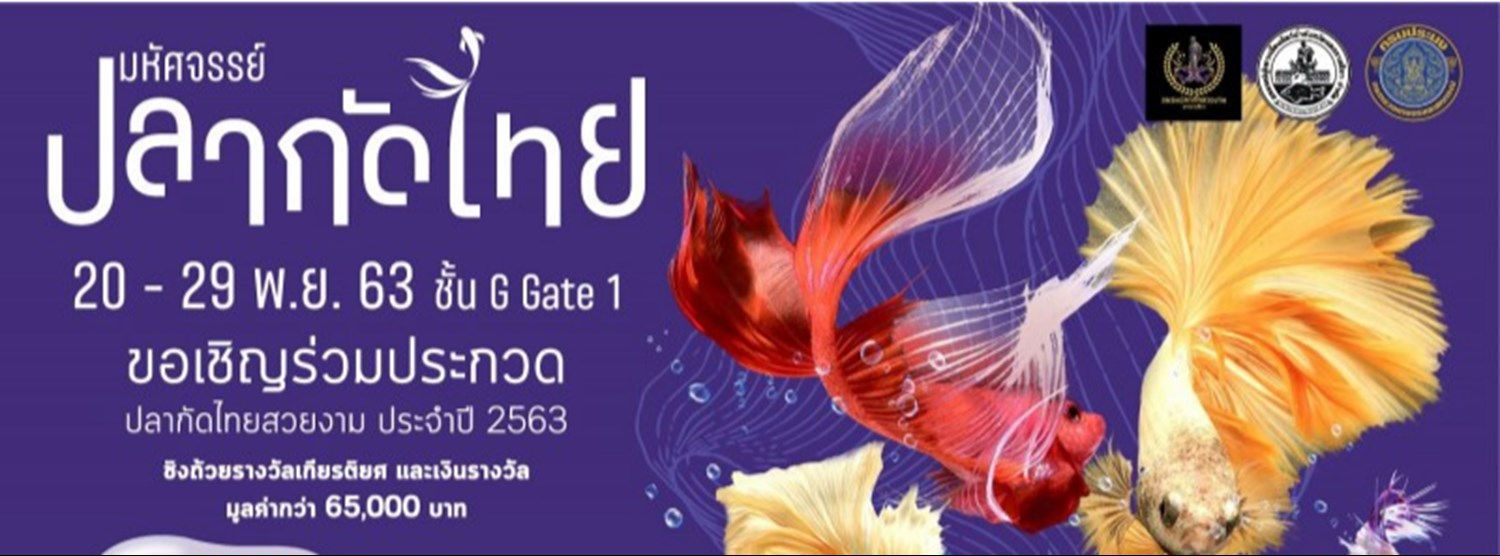 มหัศจรรย์ปลากัดไทย Zipevent