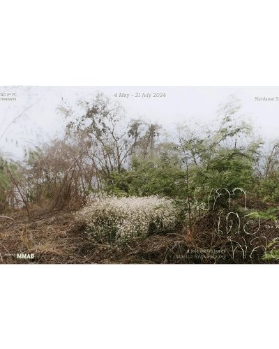 ผกา เดอ พลอว - Blooms with the Wind Blows Zipevent