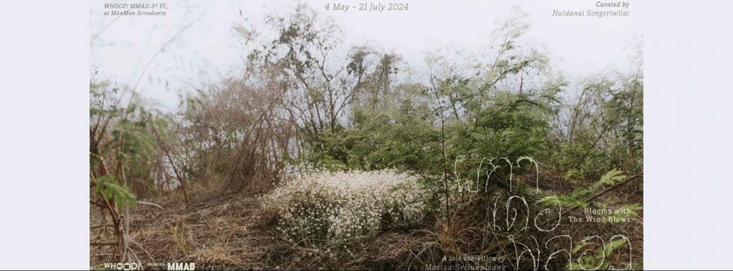 ผกา เดอ พลอว - Blooms with the Wind Blows Zipevent
