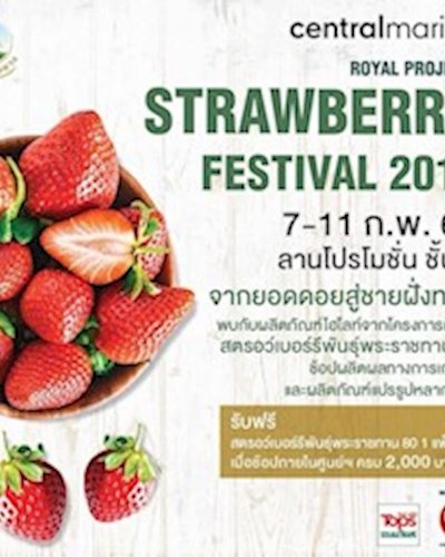 Royal Project Strawberry Festival 2019 Zipevent