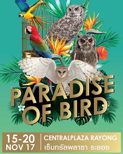 Paradise of Birds@CentralPlaza Rayong Zipevent