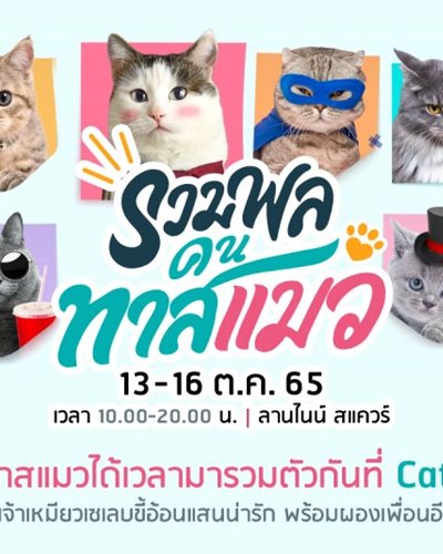 รวมพลคนทาสแมว Zipevent
